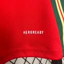 Camisa Seleção País de Gales Home 2024